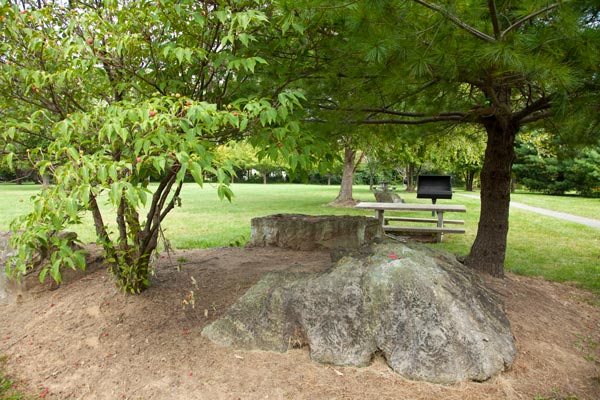 BBQ & PICNIC AREAS